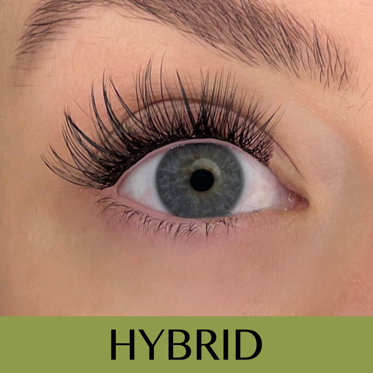 Hybrid C-curl 2.0 Clusters/Fransar