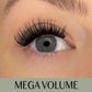 2. SORTERING Mega Volume D-curl Clusters/Fransar