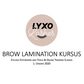 Brow Lamination Kurs (ONLINE)